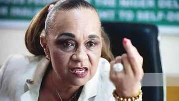 How federal government can stop militancy - Annkio Briggs