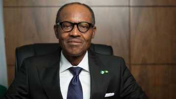 11 Devils Buhari Must Battle From Now Till 2019