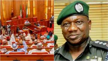 IGP Idris finally reveals why he can't personally appear before Senate