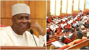 Saraki overjoyed as 8th Senate surpasses predecessors, passes 201 bills in just 3 years (full list)