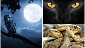 9 Nigerian superstitions that will make you unable to sleep tonight