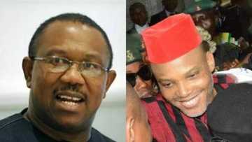 Former Governor Peter Obi commends Buhari tells him what to do next after Nnamdi Kanu's release