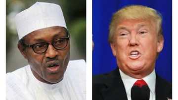 While Buhari takes vacations, read how many hours Donald Trump sleeps