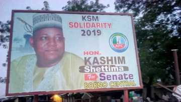 2019: Gwamnonin APC 4 dake takarar kujerar Sanata