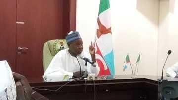 Gwamnatin Katsina ta yi alkawari za ta dauki ma’aikatan N-Power aiki na dindindin a ma’aikatar gona