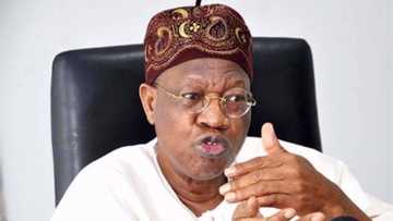 Lai Muhammed reveals how Nigeria becomes investors' destination