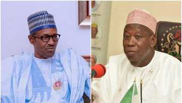 Hanyoyin da zamu taimakawa Ganduje har Buhari ya samu kuri'u 5m a Kano - Gude
