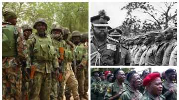We will continue where Ojukwu stop - Biafra group launches Operation Python Cry; gives ultimatum