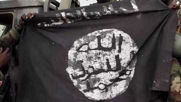 Rikicin shugabanci: ISWAP sun kama kwamandojin Shekau, sun gana da wadanda suka yi mabaya'a