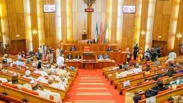 Breaking: Senate calls for state of emergency over Benue Killings