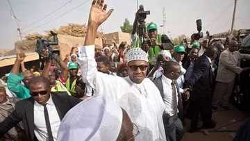 Zaben 2019: Kungiyar Dillalan Abinci a Jihar Bauchi za su sayawa Buhari tikitin tsayawa takara
