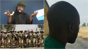 Wani kwamandan Boko Haram ya yi alwashin kiran Shekau ya mika wuya idan Sojoji suka yi abu guda