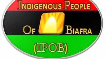 We need help, IPOB cries out