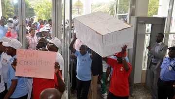 Dasuki, Dokpesi: See How Angry Youths Made Coffin For Corruption In Abuja (PHOTOS)