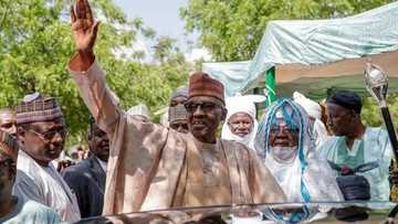 Buhari observes Eid-el-Kabir prayers in Daura (Photos)