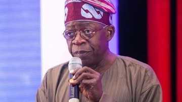 Tinubu praises PDP candidate who lost in Ekiti election