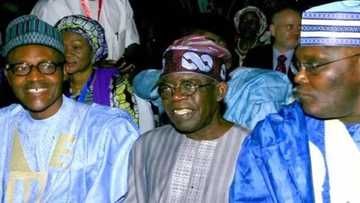 Manyan yan siyasa 5 da ake sa ran zasu gaji Buhari a 2019