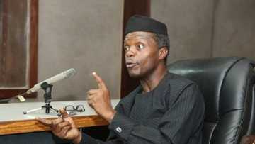We did not sack any amnesty office staff for criticising VP Osinbajo - Presidency
