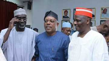 Abin da ya sa na yafe takarar Shugaban kasa a PDP a 2019 – inji Shekarau