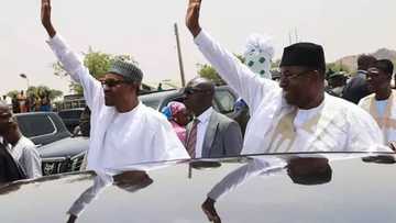 Babu tazarce a Bauchi: PDP ta kayar da APC, INEC ta sanar da sakamon zabe