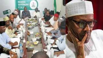 Buhari's aide attacks state governors, advises Nigerians to demand their salaries