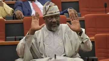 I climbed a tree and stayed there for hours - Melaye reveals how he escaped abduction