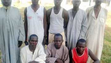 PHOTOS: See 8 Boko Haram Terrorists Who Surrendered To Nigerian Army