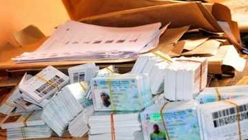 2019: CSO raises alarm, says political parties not involved in voters' register cleanup