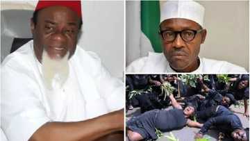 Jami'an tsaro na yiwa matasanmu kisan gilla, Dattawan Igbo