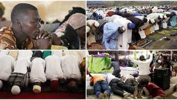 Over 400 Fulani across Nigeria convert to Christianity, 7 ordained as Reverends