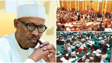 Why I ordered withdrawal of $462m from Excess Crude Account to purchase aircraft without NASS approval - Buhari finally explains