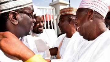 Danwaken zagaye: An gano yarjejeniyar da aka kula tsakanin Shekarau da Ganduje
