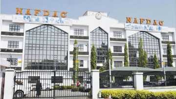 Hukumar NAFDAC ta rufe gidajen mummuki 24 a Borno