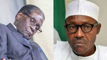 Like Buhari, Zimbabwe's President Mugabe flown out for medical check up (check their similarities)