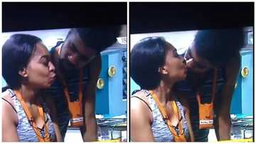 ThinTallTony, Tboss can’t get enough of each other in the house, plan kidnapping for one day