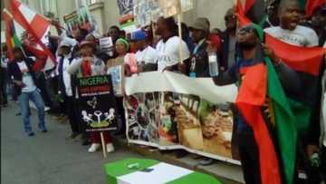 Armed with a coffin painted in Nigerian colour, IPOB members stage protest to British embassy in Austria (photos)
