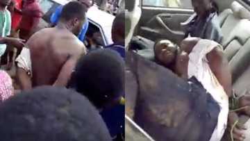 Notorious thief arrested in Ogun state, narrowly escapes jungle justice (photos, video)