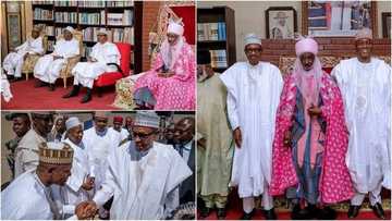 Shuwagabannin Najeriya sun halarci auren ɗiyar hamshain attajiri Aliko Dangote, Fatima a jihar Kano (Hotuna)