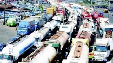 Hell on Apapa way as truck and tanker drivers return, disregard constituted authority