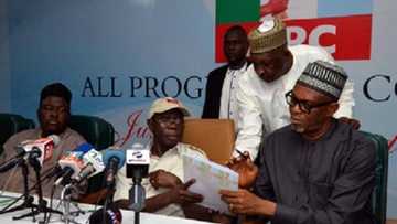 Jerin sunaye: APC ta kafa kwamitin tantance 'yan takara a matakin tarayya