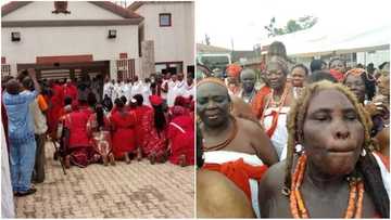 Oba of Benin forces native doctors to revoke curses placed on victims of human trafficking (photos)
