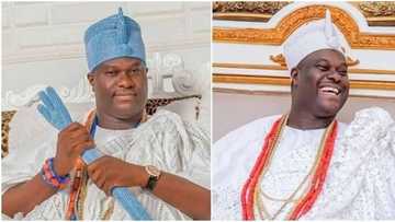 COVID-19: Video of Ooni of Ife revealing herbs to battle the virus