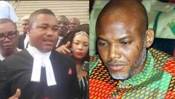 Nnamdi Kanu’s lawyer in trouble as colleagues call for his arrest with other members of IPOB
