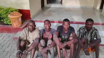 Dubi Hoton Barayin Shanu da Hukumar Sojin Kasa ta damko a jihar Bauchi