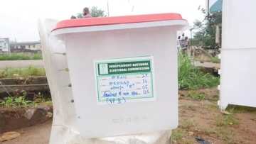 Zaben Osun: Kungiyoyin Turai sun koka da zaben da APC ta lashe