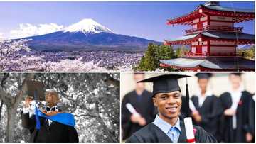 New Japan scholarship for Nigerian students