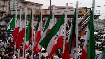 Zaben maye gurbi a jihar arewa: PDP ta kayar da APC