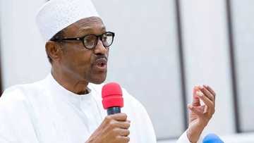 APC southeast governors get thumbs up for supporting Buhari's re-run ambition
