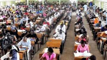 JAMB cut off marks 2018/2019 for all Nigerian colleges and universities