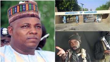 Finally! Borno governor finds new method of preventing Boko Haram from attacking University of Maiduguri